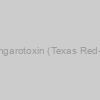 Sulforhodamine 101-a-bungarotoxin (Texas Red--a-bungarotoxin): (500ug)